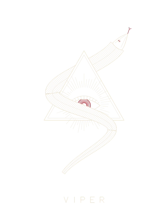 Viper artwork: The serpent and the eye